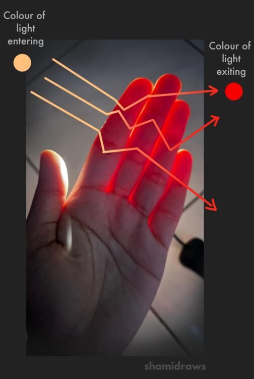 Subsurface Scattering: What it is & Why it is important – shamidraws.com